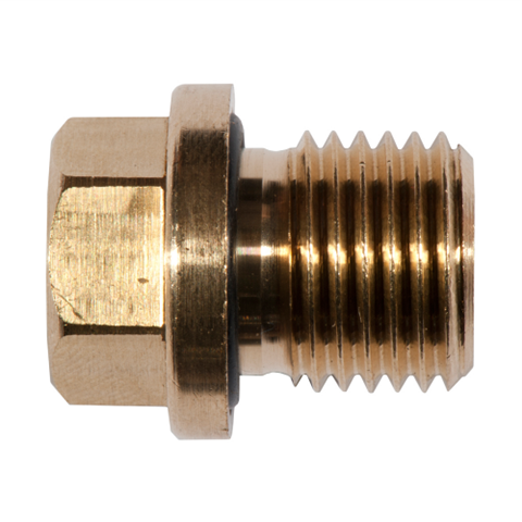 12027420 Screw Plug