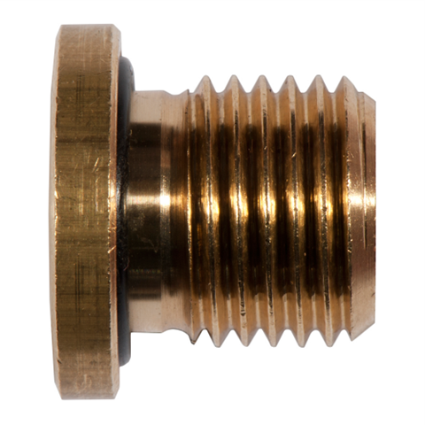 12027475 Screw Plug