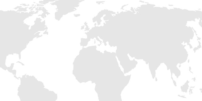 国际供应商